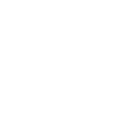 Western Michigan University logo